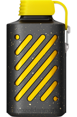 VOZOL GEAR 10.000 kiwi passionsfrugt guava 24HBP295 VOZOL Vape Flavours