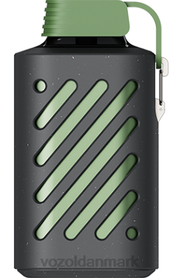 VOZOL GEAR 10.000 sur æbleis 24HBP308 VOZOL Vape Shop