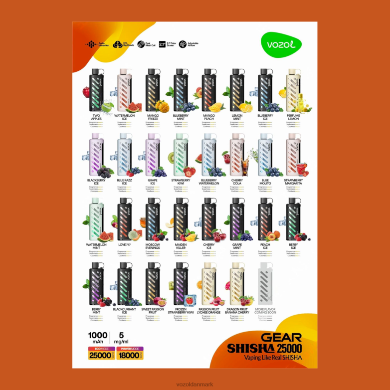 Vozol Danmark Z0H8D1 VOZOL gear shisha 25000