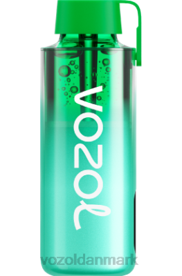 VOZOL NEON 10.000 miami mynte 24HBP229 VOZOL Vape Sale