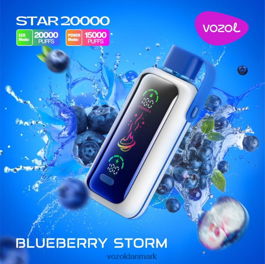 Vozol Vape Flavours blåbærstorm PZ6N825 VOZOL STAR 20.000
