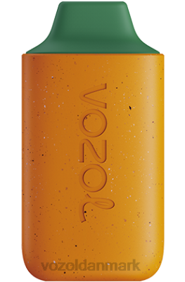 VOZOL STAR 6000 mango fersken vandmelon 24HBP120 VOZOL Review