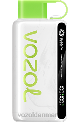VOZOL STAR 9000/12000 jordbær vandmelon 24HBP49 VOZOL Vape Sale