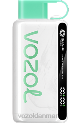 VOZOL STAR 9000/12000 vandmelon tyggegummi 24HBP34 VOZOL Vape Pen