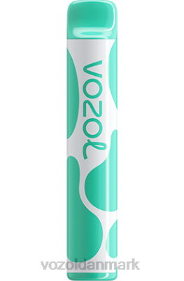VOZOL JOYGO 600 menthol 24HBP387 VOZOL Vape Store